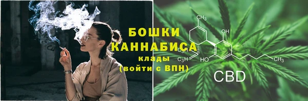apvp Арсеньев
